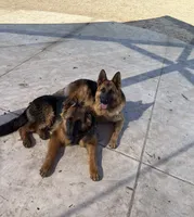 processed/7cf45e5e-de71-49b8-8c22-57bfaf530b14/listing/085ce5ba-b8c8-42e7-bd70-e18b749b7989/016c35e5-eb7e-4384-b9d9-911a5ae75f65