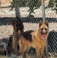 processed/7cf45e5e-de71-49b8-8c22-57bfaf530b14/listing/085ce5ba-b8c8-42e7-bd70-e18b749b7989/34d8c404-49c2-4044-8d4a-3293a3e0a3b5