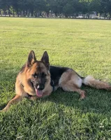 processed/7cf45e5e-de71-49b8-8c22-57bfaf530b14/listing/085ce5ba-b8c8-42e7-bd70-e18b749b7989/49b2ed8d-b5f0-4d5a-8db9-d9105bf1d9ad