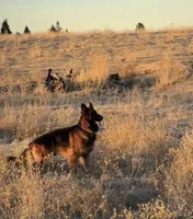 processed/7cf45e5e-de71-49b8-8c22-57bfaf530b14/listing/085ce5ba-b8c8-42e7-bd70-e18b749b7989/5899ba64-28d3-4712-ac22-fd46f0ec54c6