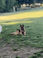 processed/7cf45e5e-de71-49b8-8c22-57bfaf530b14/listing/085ce5ba-b8c8-42e7-bd70-e18b749b7989/76344375-177c-4505-aa90-1bb5c479739a