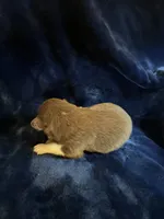 processed/7cf67842-c864-4c0f-b169-261d33b2c3ab/listing/3eb6aa2e-cb9e-4cc9-accd-8566ca833697/223a2e11-cf60-41b6-85b5-044344013145