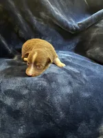 processed/7cf67842-c864-4c0f-b169-261d33b2c3ab/listing/3eb6aa2e-cb9e-4cc9-accd-8566ca833697/31e41c1a-86b9-4443-9dee-01811f7252f1