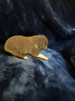 processed/7cf67842-c864-4c0f-b169-261d33b2c3ab/listing/3eb6aa2e-cb9e-4cc9-accd-8566ca833697/be550bfe-0239-4736-9644-c72368aeb29e