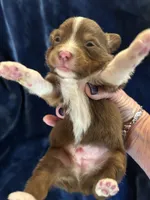 processed/7cf67842-c864-4c0f-b169-261d33b2c3ab/listing/3eb6aa2e-cb9e-4cc9-accd-8566ca833697/d8b1cb82-2b46-4524-a43e-2a5e3f9dc470