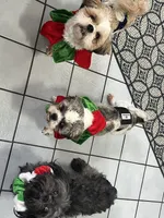 processed/7cf9ff4c-41b8-4b2e-9dbe-143624592e99/facility/0d9c3a42-be2c-427d-b0fc-f7d2d7312400