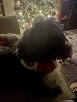 processed/7cf9ff4c-41b8-4b2e-9dbe-143624592e99/facility/76f6eaf1-2063-40d4-b01c-ba2ffcad3c7c