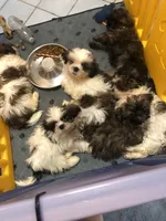 processed/7cf9ff4c-41b8-4b2e-9dbe-143624592e99/facility/ac02825d-f7e8-445b-804e-fadf89e288b4