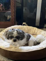 processed/7cf9ff4c-41b8-4b2e-9dbe-143624592e99/facility/b2348529-241e-4db0-963c-7ba1967ce8bb