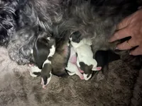 processed/7cf9ff4c-41b8-4b2e-9dbe-143624592e99/facility/daafbb21-f2e9-4330-82c8-ab1261a60e82