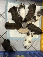 processed/7cf9ff4c-41b8-4b2e-9dbe-143624592e99/facility/dd2da32f-e8d2-45d3-a8b1-deeb8269ec3a