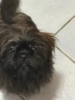 processed/7cf9ff4c-41b8-4b2e-9dbe-143624592e99/listing/1560b80e-4ee9-4b04-be8b-9c63b3c11894/58038099-7c8e-4f5b-ae98-24be47b1ca60