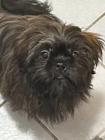 processed/7cf9ff4c-41b8-4b2e-9dbe-143624592e99/listing/1560b80e-4ee9-4b04-be8b-9c63b3c11894/c0b0d3a6-7eb1-45fc-bbae-c8311a7d7480