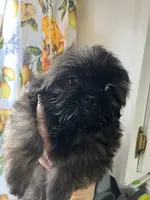 processed/7cf9ff4c-41b8-4b2e-9dbe-143624592e99/listing/1560b80e-4ee9-4b04-be8b-9c63b3c11894/dd024913-6016-40cc-ab47-d5b2ce5eeb03