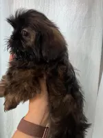 processed/7cf9ff4c-41b8-4b2e-9dbe-143624592e99/listing/1560b80e-4ee9-4b04-be8b-9c63b3c11894/f7c89f95-6c00-4b08-867f-9844366413ea