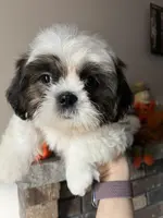 processed/7cf9ff4c-41b8-4b2e-9dbe-143624592e99/listing/8e59d4a1-7d95-4edb-8a23-8e7ed4f520d4/08bc7a08-9c14-4ce6-a6cd-9077212fc74b