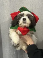 processed/7cf9ff4c-41b8-4b2e-9dbe-143624592e99/listing/8e59d4a1-7d95-4edb-8a23-8e7ed4f520d4/1054f10b-a28e-4118-b9a5-dd47f76fcd7d