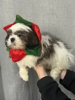 processed/7cf9ff4c-41b8-4b2e-9dbe-143624592e99/listing/8e59d4a1-7d95-4edb-8a23-8e7ed4f520d4/2b605412-b4a5-4f4d-99ee-f91d45c47eac