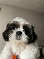 processed/7cf9ff4c-41b8-4b2e-9dbe-143624592e99/listing/8e59d4a1-7d95-4edb-8a23-8e7ed4f520d4/559f210e-3f66-43b9-8239-c955abda8a02