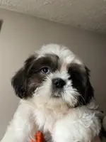 processed/7cf9ff4c-41b8-4b2e-9dbe-143624592e99/listing/8e59d4a1-7d95-4edb-8a23-8e7ed4f520d4/a20dd9b9-31c7-4550-845a-24ab11945b32