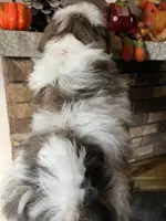 processed/7cf9ff4c-41b8-4b2e-9dbe-143624592e99/listing/8e59d4a1-7d95-4edb-8a23-8e7ed4f520d4/e7fa1fb2-aa6f-4cb3-8dac-81e95bb7f0be