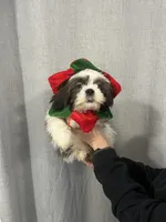 processed/7cf9ff4c-41b8-4b2e-9dbe-143624592e99/listing/8e59d4a1-7d95-4edb-8a23-8e7ed4f520d4/ed631271-4497-498f-804f-db70745cf745