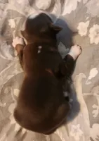 processed/7cfb1f0d-914b-4171-81a4-9d913b441d95/listing/42ecdcad-6a9f-4652-9520-cd553fde1e74/69ebc0f3-d182-4971-95ed-3f470b187399