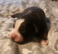 processed/7cfb1f0d-914b-4171-81a4-9d913b441d95/listing/42ecdcad-6a9f-4652-9520-cd553fde1e74/6e06c3bb-b1c8-4f46-af52-e19e34f971e5