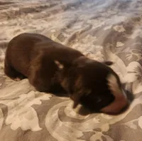 processed/7cfb1f0d-914b-4171-81a4-9d913b441d95/listing/42ecdcad-6a9f-4652-9520-cd553fde1e74/b1c75838-789b-436a-adcc-a0bf6c930341