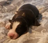 processed/7cfb1f0d-914b-4171-81a4-9d913b441d95/listing/42ecdcad-6a9f-4652-9520-cd553fde1e74/cf71b476-cb74-409a-a41b-6a76d0a57e67