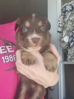 processed/7cfb1f0d-914b-4171-81a4-9d913b441d95/listing/a365bf08-4549-4f4b-8fb4-8228633d8fe5/0ae37069-127c-42a0-ad6d-fcad0bf23af1