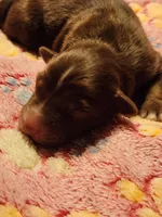 processed/7cfb1f0d-914b-4171-81a4-9d913b441d95/listing/a365bf08-4549-4f4b-8fb4-8228633d8fe5/25e95f08-ec16-4cf3-a95b-90368628c454