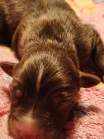 processed/7cfb1f0d-914b-4171-81a4-9d913b441d95/listing/a365bf08-4549-4f4b-8fb4-8228633d8fe5/6d0cb788-25a8-4e39-bee3-6339285fac8f