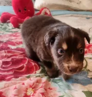 processed/7cfb1f0d-914b-4171-81a4-9d913b441d95/listing/a365bf08-4549-4f4b-8fb4-8228633d8fe5/b70a75dd-2daf-42a1-8261-8d6515da7a3f