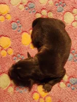 processed/7cfb1f0d-914b-4171-81a4-9d913b441d95/listing/a365bf08-4549-4f4b-8fb4-8228633d8fe5/d1970e7c-6471-4c49-ad6d-2a523d9862f1