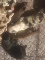 processed/7cfb1f0d-914b-4171-81a4-9d913b441d95/listing/fba339f3-080a-45bc-b591-18421751bcb2/5f1a3eb2-e29a-4c49-a49f-9ff6dbec60be