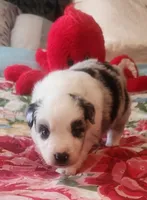 processed/7cfb1f0d-914b-4171-81a4-9d913b441d95/listing/fba339f3-080a-45bc-b591-18421751bcb2/6346efc7-32a8-4e9b-9969-598c05f50d7e