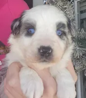 processed/7cfb1f0d-914b-4171-81a4-9d913b441d95/listing/fba339f3-080a-45bc-b591-18421751bcb2/63bd1975-daed-4625-b358-0d7ba8824c09