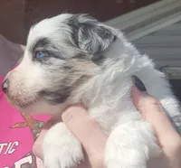 processed/7cfb1f0d-914b-4171-81a4-9d913b441d95/listing/fba339f3-080a-45bc-b591-18421751bcb2/a2dd794d-491e-491a-9495-82f841ba907c