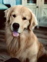 processed/7cffb751-1128-4287-81c5-77b5a380623c/facility/36bdb308-54c3-409f-99a6-4ffa95b7db7b