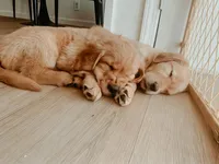 processed/7cffb751-1128-4287-81c5-77b5a380623c/facility/64847df6-39fe-4c6c-a750-4a69dd4bb839