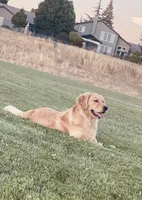 processed/7cffb751-1128-4287-81c5-77b5a380623c/facility/c6f26145-f64d-4174-9a28-722f3c38f682