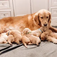 processed/7cffb751-1128-4287-81c5-77b5a380623c/facility/e239faab-2689-412c-95da-4767067cbfeb