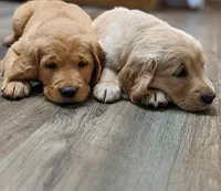 processed/7cffb751-1128-4287-81c5-77b5a380623c/facility/eed7639a-106f-4be6-9098-dfa2dc52706f