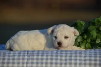 processed/7d00d96c-fdd6-4ff1-9e0d-52b127866d59/listing/a5735dca-cc28-4873-92b6-5a7319aa2010/d3402122-64d0-4a0f-9b71-1273b7c9dfad