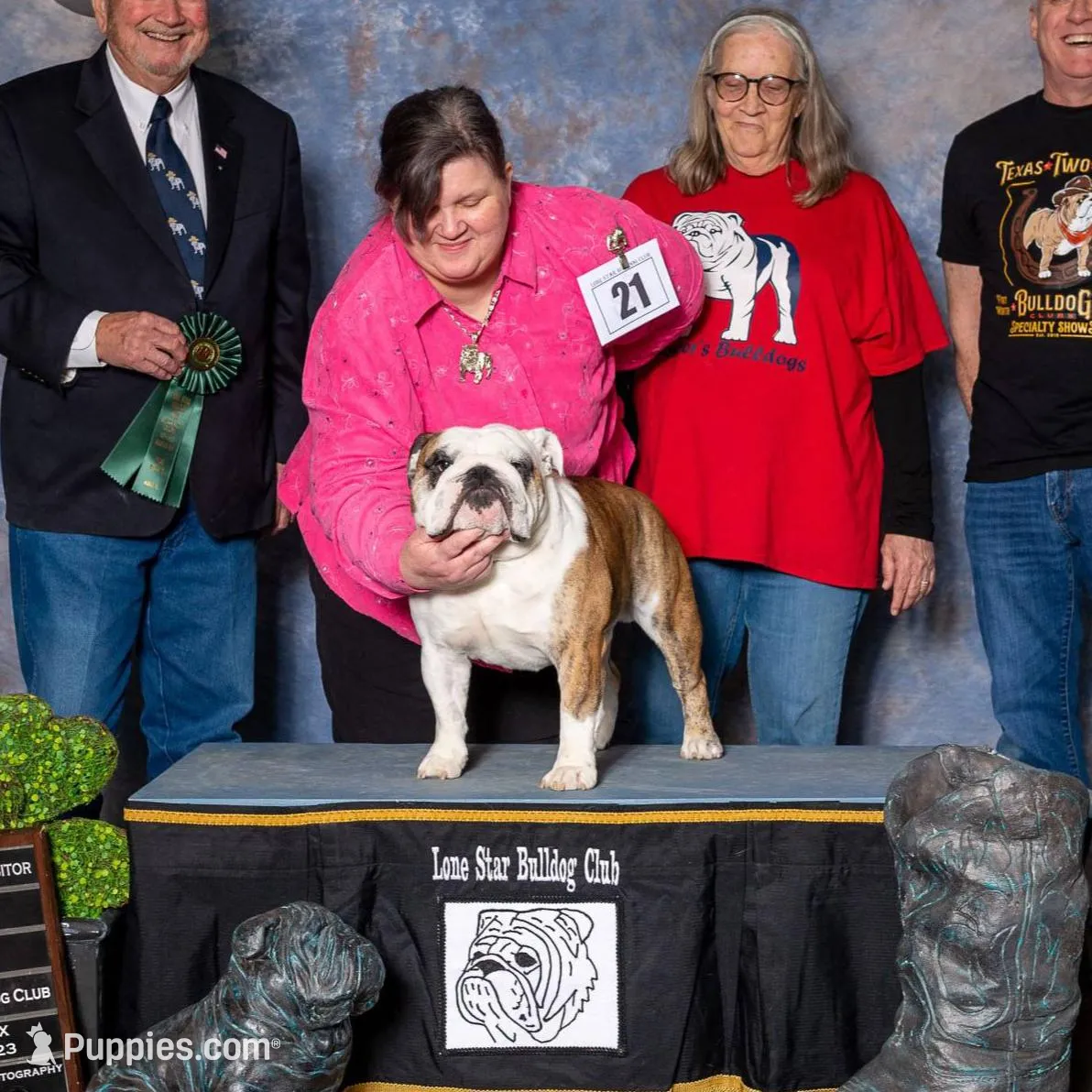 processed/7d102761-1763-493e-8916-f5bb90d0e896/facility/b8ba2ca3-4a97-4df6-bf29-b7d77e38b2b5