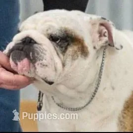 processed/7d102761-1763-493e-8916-f5bb90d0e896/facility/e30b0561-378d-4fad-8599-580c7f5753cf