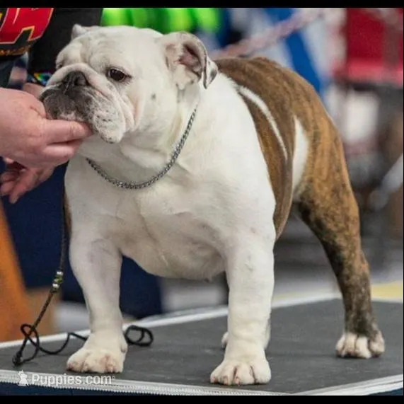 processed/7d102761-1763-493e-8916-f5bb90d0e896/facility/eef720ac-a27e-4f60-a57e-81973b4702cb