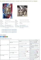 Lucy, a female English Bulldog for sale in Jackson, TN – Photo 5 of 5