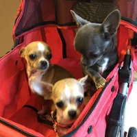 processed/7d15c6d7-7056-4141-ac61-865ad47915f9/facility/12763b4b-5aa3-4f7b-89d2-216b56fdf439